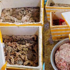 Phát hiện cơ sở xả thải ô nhiễm, thu giữ 3,5 tấn mỡ và lòng động vật không rõ nguồn gốc