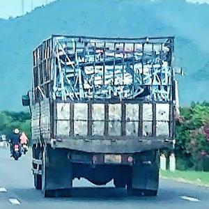 Vụ bán tài sản cưỡng chế ở Nha Trang: Chuyển đơn qua Văn phòng Cơ quan cảnh sát điều tra