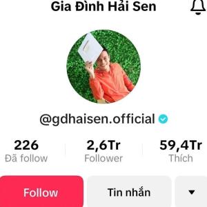 Chủ kênh TikTok "Gia đình Hải Sen" bị bắt