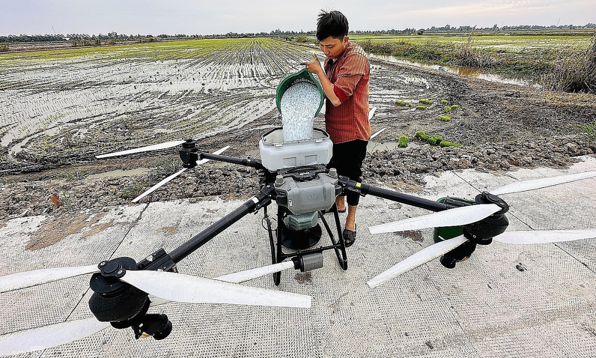 Hiểm họa từ máy bay phun thuốc