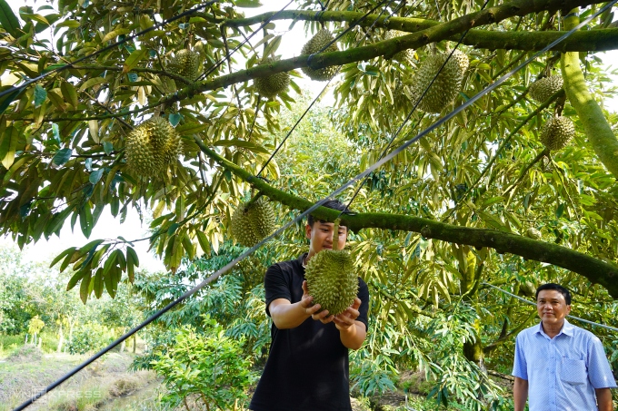 Hộ kinh doanh kê khai thuế thế nào khi mua nông sản, hàng xách tay