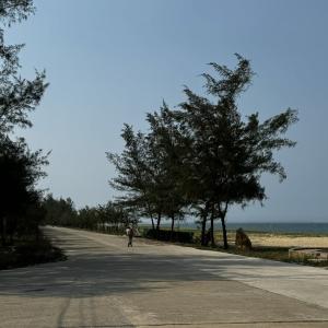 6 người bị khởi tố vì 'rút ruột' 1,6 km đường
