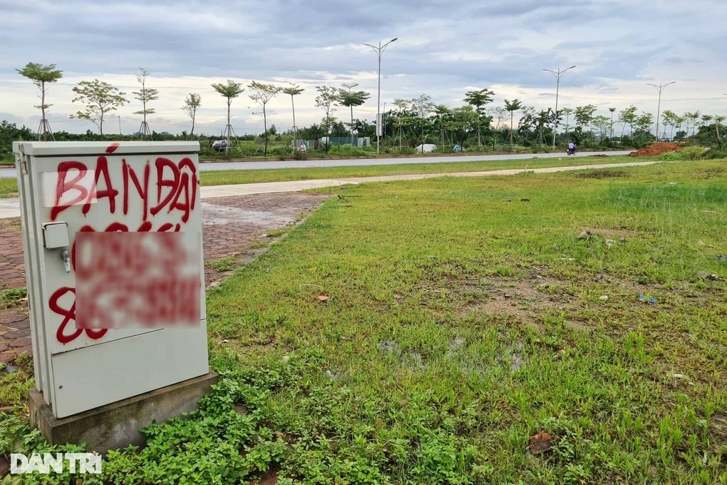 Tỉnh Nam Định, Ninh Bình sắp đấu giá 377 lô đất, khởi điểm từ 5 triệu/m2