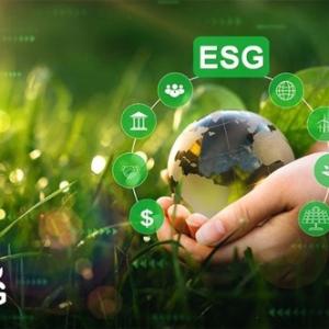 Diễn giả chia sẻ gì tại hội thảo "Giải pháp chuyển đổi số và thực hành ESG"