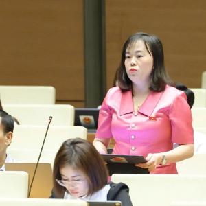 Đại biểu Quốc hội: Doanh nghiệp Nhà nước làm gì để đóng góp tăng trưởng 8%?