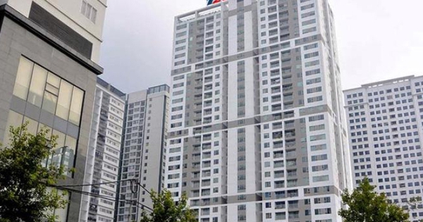 Taseco Land chia cổ tức 15%, công ty mẹ "đút túi" 340 tỷ đồng tiền mặt