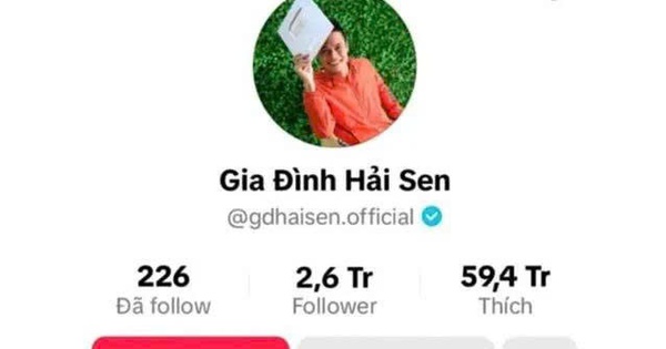 Bắt chủ kênh TikTok “Gia đình Hải Sen” vì nghi buôn bán hàng giả