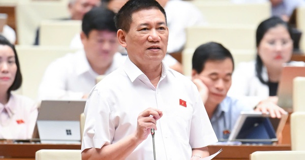 Giữ thuế khoán với hộ kinh doanh có doanh thu dưới 1 tỷ đồng để tránh thiệt thòi
