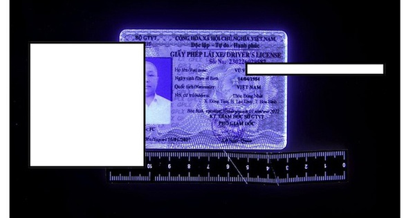 Cảnh báo hành vi mua bán, sử dụng giấy phép lái xe giả