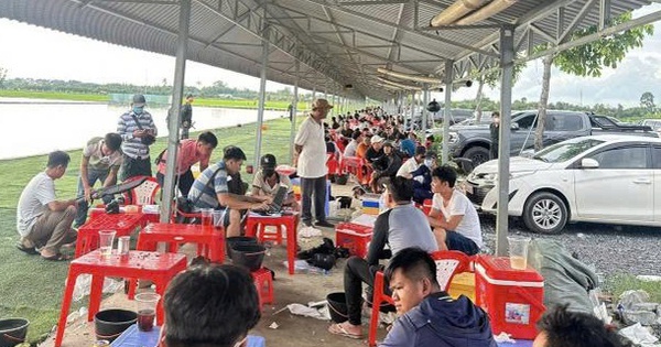 Thủ đoạn tinh vi của nhóm đối tượng biến hồ câu thành nơi sát phạt đỏ đen, livestream quảng bá mỗi ngày