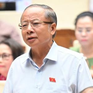 ĐBQH: Có thể đảm bảo bữa ăn cho học sinh "miễn là không có lợi ích nhóm"