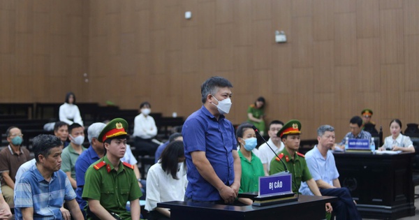 Sai phạm hoá đơn, Giám đốc công ty đất hiếm nói do dịch Covid-19