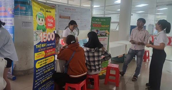 Hơn 20.000 cơ hội việc làm tại phiên giao dịch trực tuyến lần II năm 2025 ở Bà Rịa - Vũng Tàu