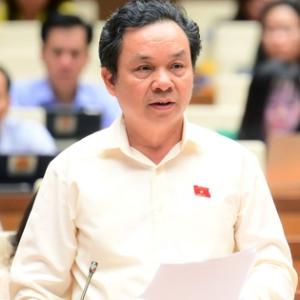 Lo doanh nghiệp nhập linh kiện lắp ráp đường sắt, đại biểu đề nghị "siết" quy định đặt hàng