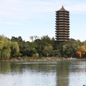 Trào lưu lừa bán nước hồ Bắc Đại, đất Thanh Hoa gây tranh cãi tại Trung Quốc