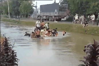 Khoảnh khắc người dân phá cửa cứu 13 nạn nhân trong ô tô rơi xuống mương