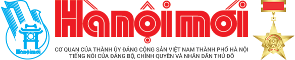 hanoimoi.vn